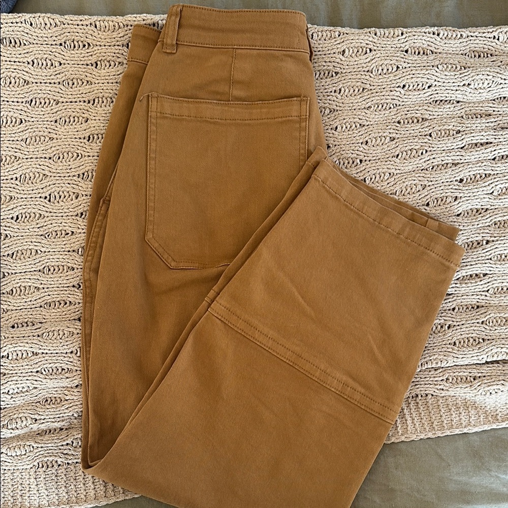 COPY - Everlane Barrel Pants in Oak Brown
